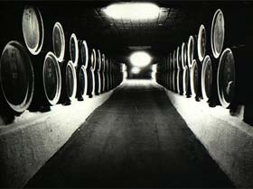 Подземный город вина под Кишиневом. Фото Игоря Гольдберга.