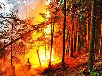 Забайкалье, лесной пожар, авг. 2015 г. Источник - https://www.facebook.com/zabaikpark