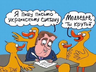 Медведев, уточки и статья об Украине. Карикатура С.Елкина: dw.com